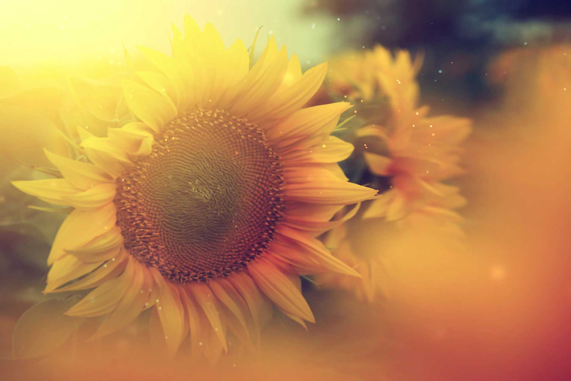 Accepting New Patients, Call Now | Book Now | Northern Valley Allergy
